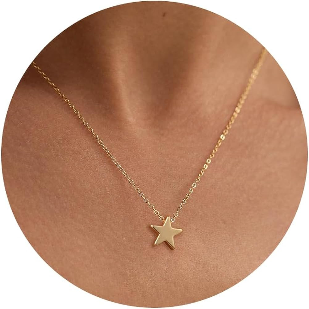 Valloey Rover Gold Necklace for Women 14K Gold Plated Circle Cubic Zirconia Pendant Necklace Dain... | Amazon (US)