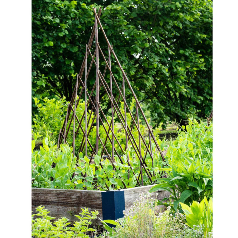 Willow Expanding Teepe Trellis | Wayfair North America