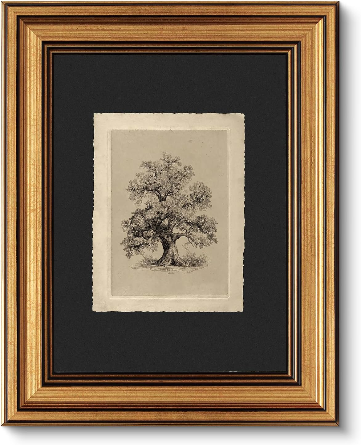 VIYYIEA Gold Framed Wall Art, Vintage Sketch Oak Tree Wall Art, 8x10 Inch | Amazon (US)