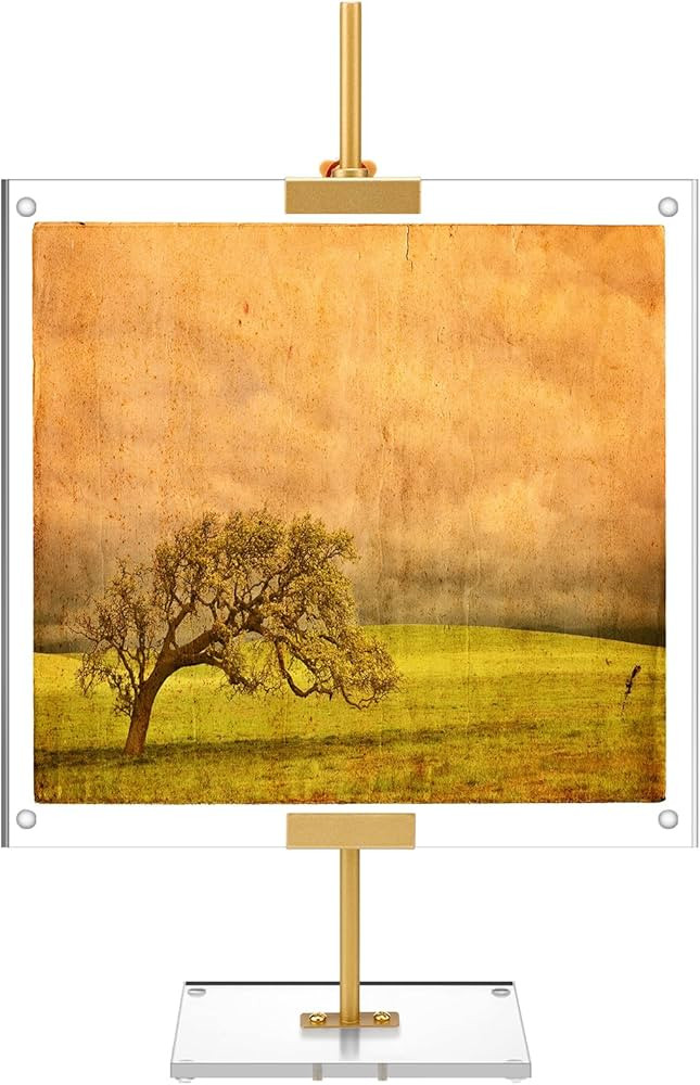 RattanView Gold Adjustable Metal Easel Stand with Acrylic Floating Photo Frame 16.5" Tabletop Met... | Amazon (US)