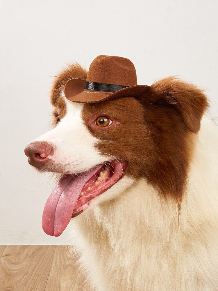 1pc Pet Cowboy Hat | SHEIN