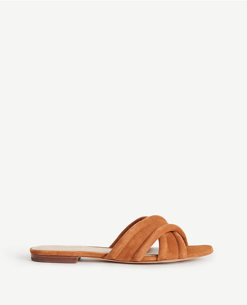 Gretel Suede Slides | Ann Taylor (US)
