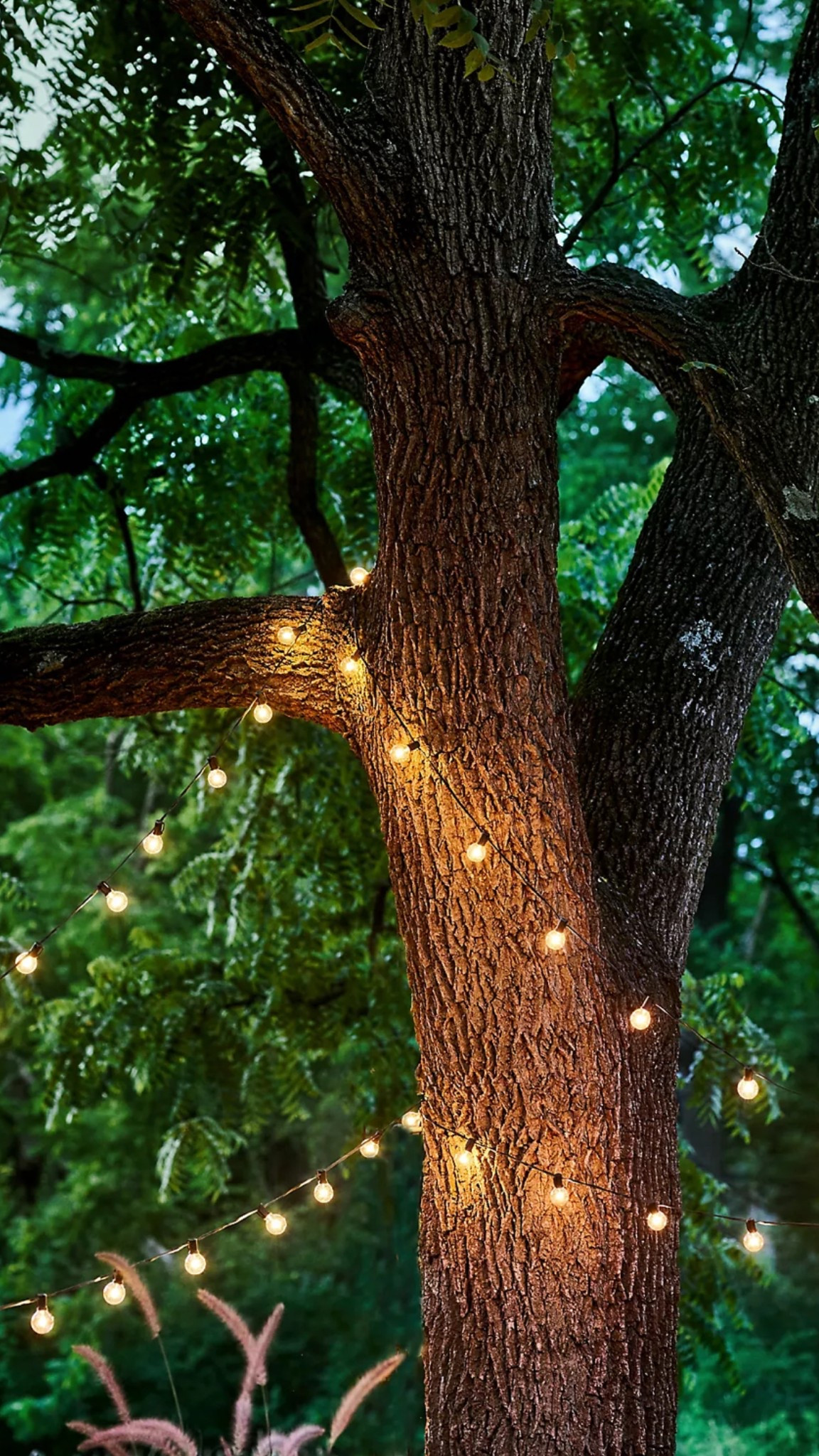 @shopterrain's clear bulbs + strands bundle includes the stargazer garden light bulbs that you screw into the garden light socket strand 💫
#ad #shopterrain