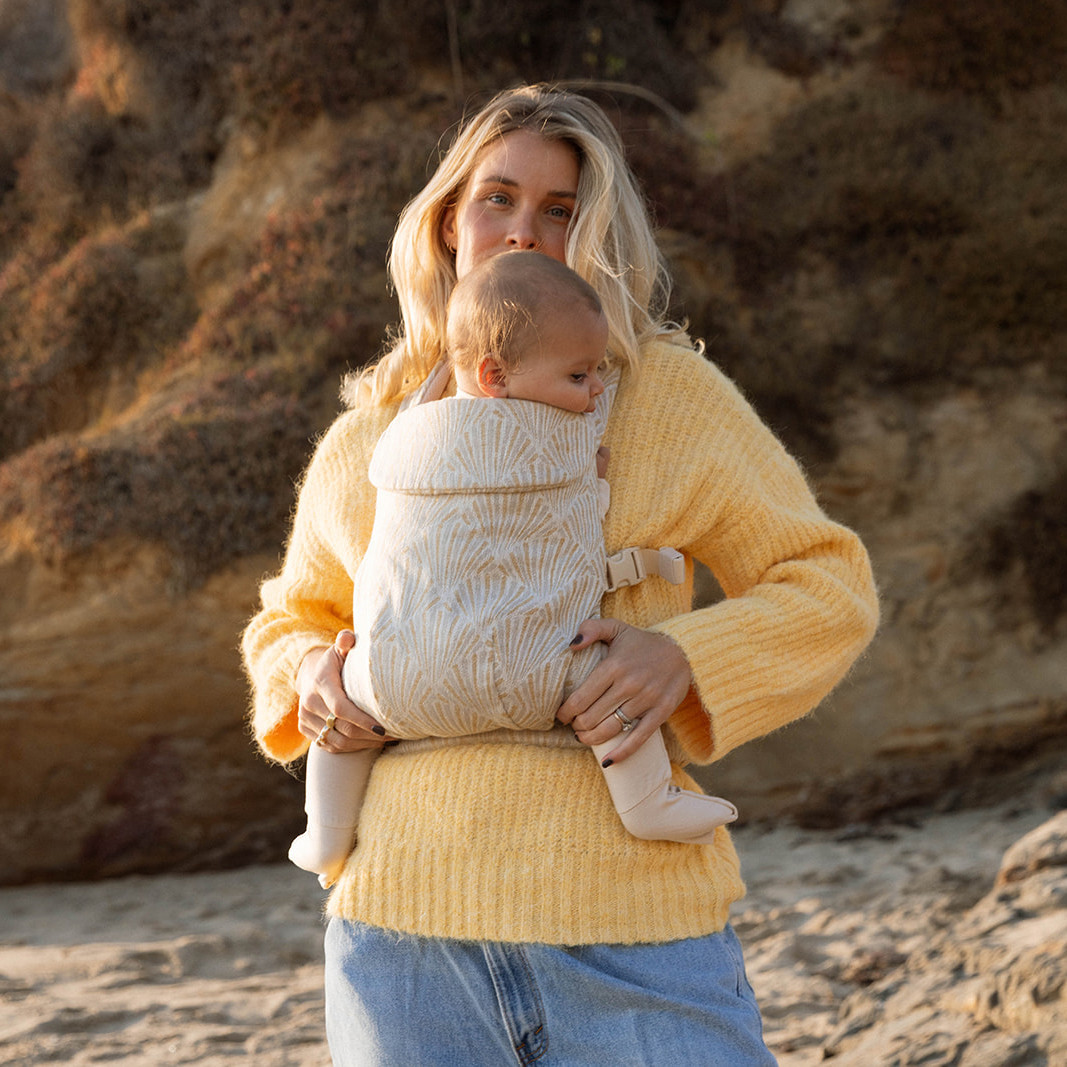 Aerial Carrier | Babylist