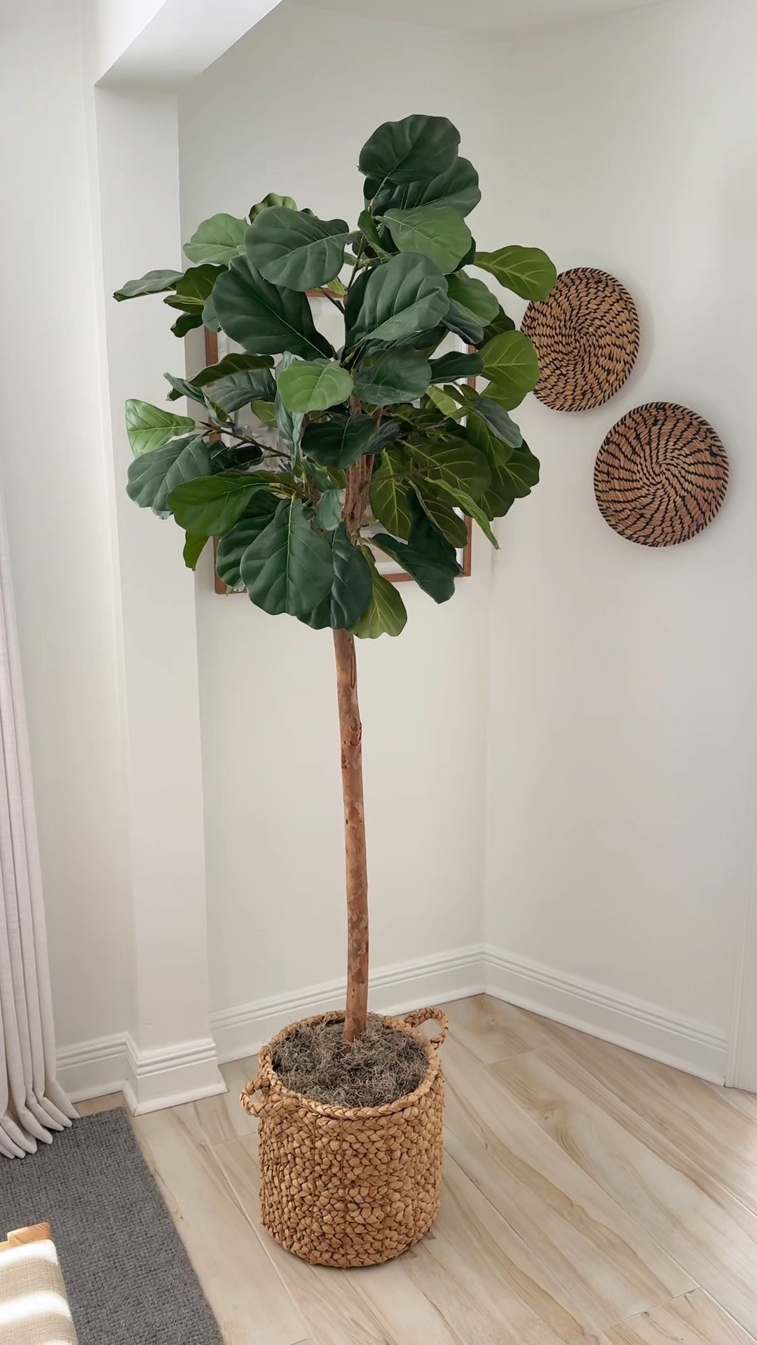 Faux fiddle leaf fig tree basket hack with moss to make it look more real and earthy!

#LTKSaleAlert #LTKHome #LTKSeasonal
