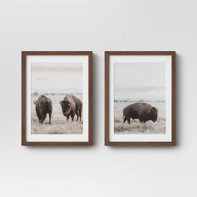 (Set of 2) 12" x 16" Buffalo Framed Prints - Threshold™ | Target