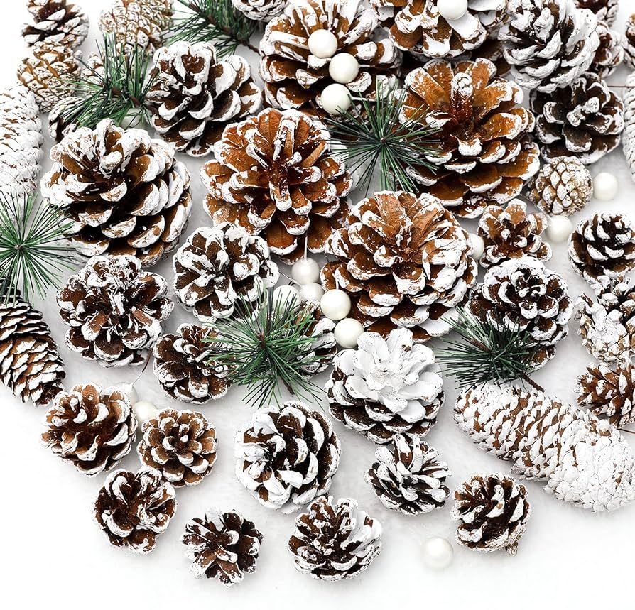 Whaline 170Pcs Christmas Pine Cones Berry Pine Branch Set Snow Pinecones Pendant White Winter Hol... | Amazon (US)