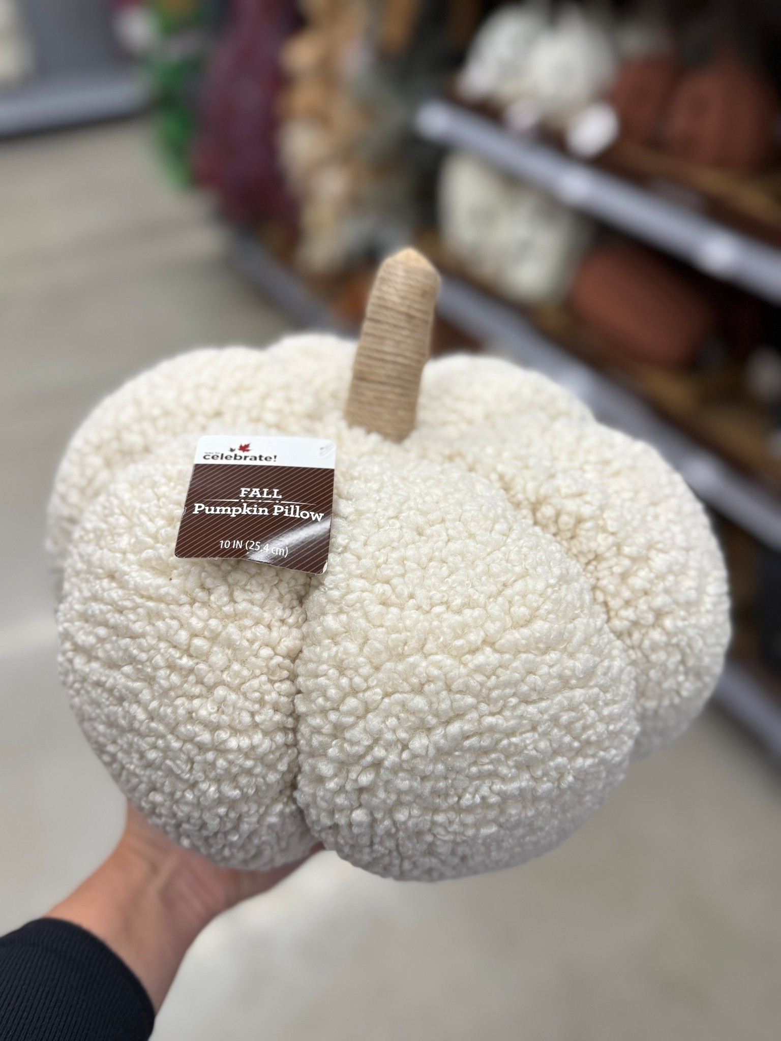 The cutest fall pumpkins! 🤍

#LTKSaleAlert #LTKParties #LTKSeasonal