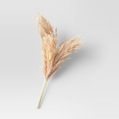 35" Pampas Natural Preserved Bundle Cream - Threshold™ | Target