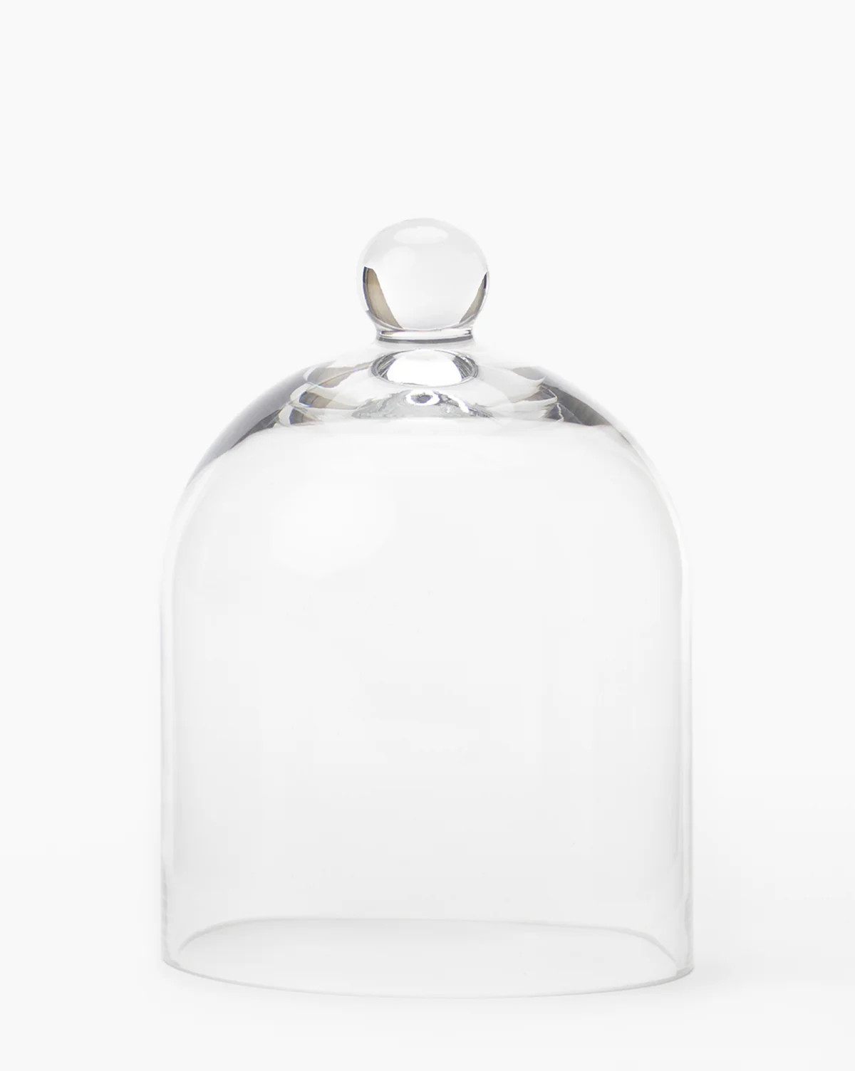 Glass Cloche | McGee & Co. (US)