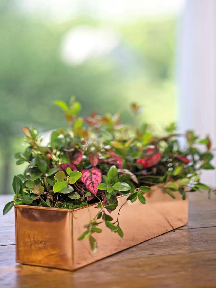 Gardener's Supply Company Rectangular Copper-Coated Stainless Steel Plant Tray | Leakproof Protec... | Amazon (US)