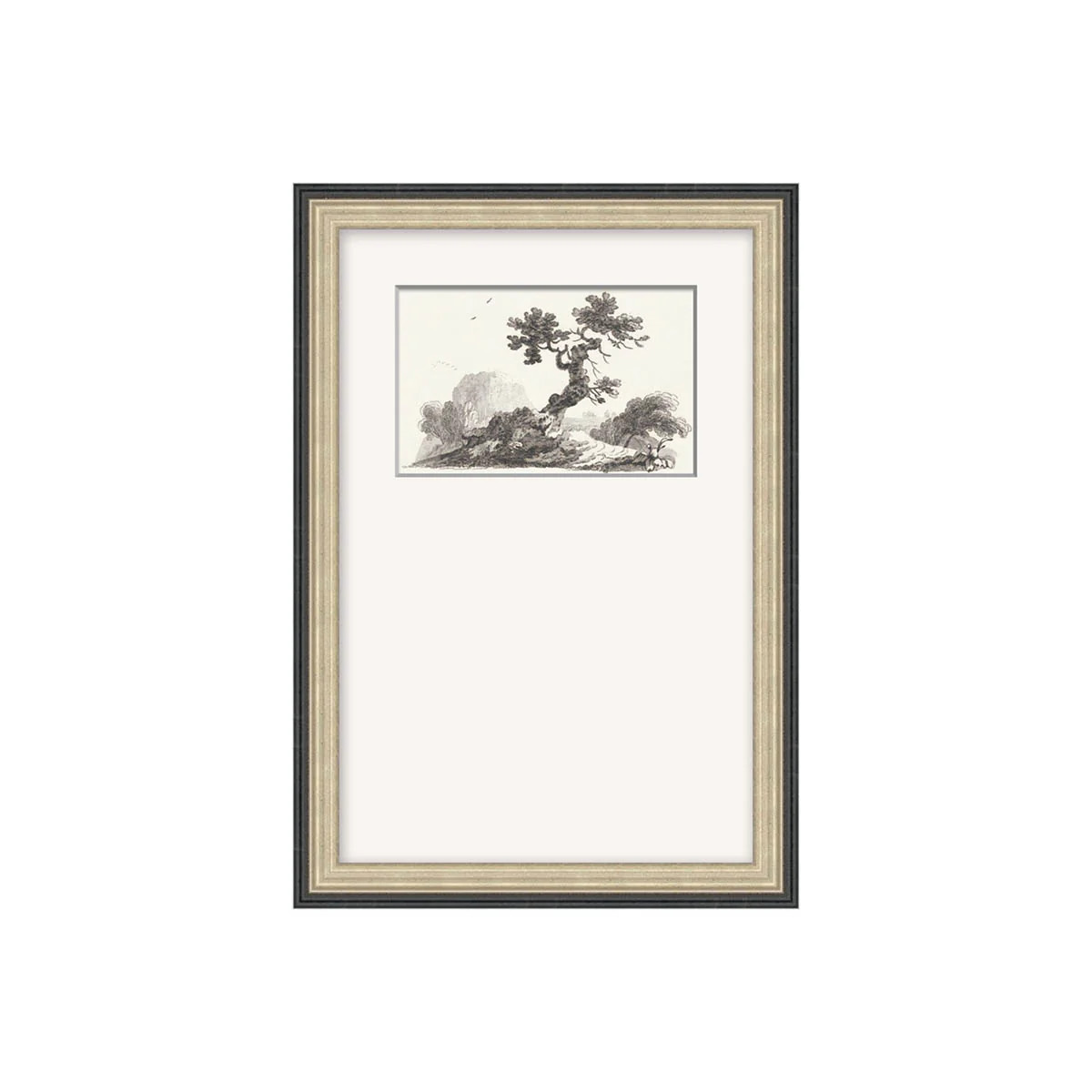 Lone Palm | Tuesday Made