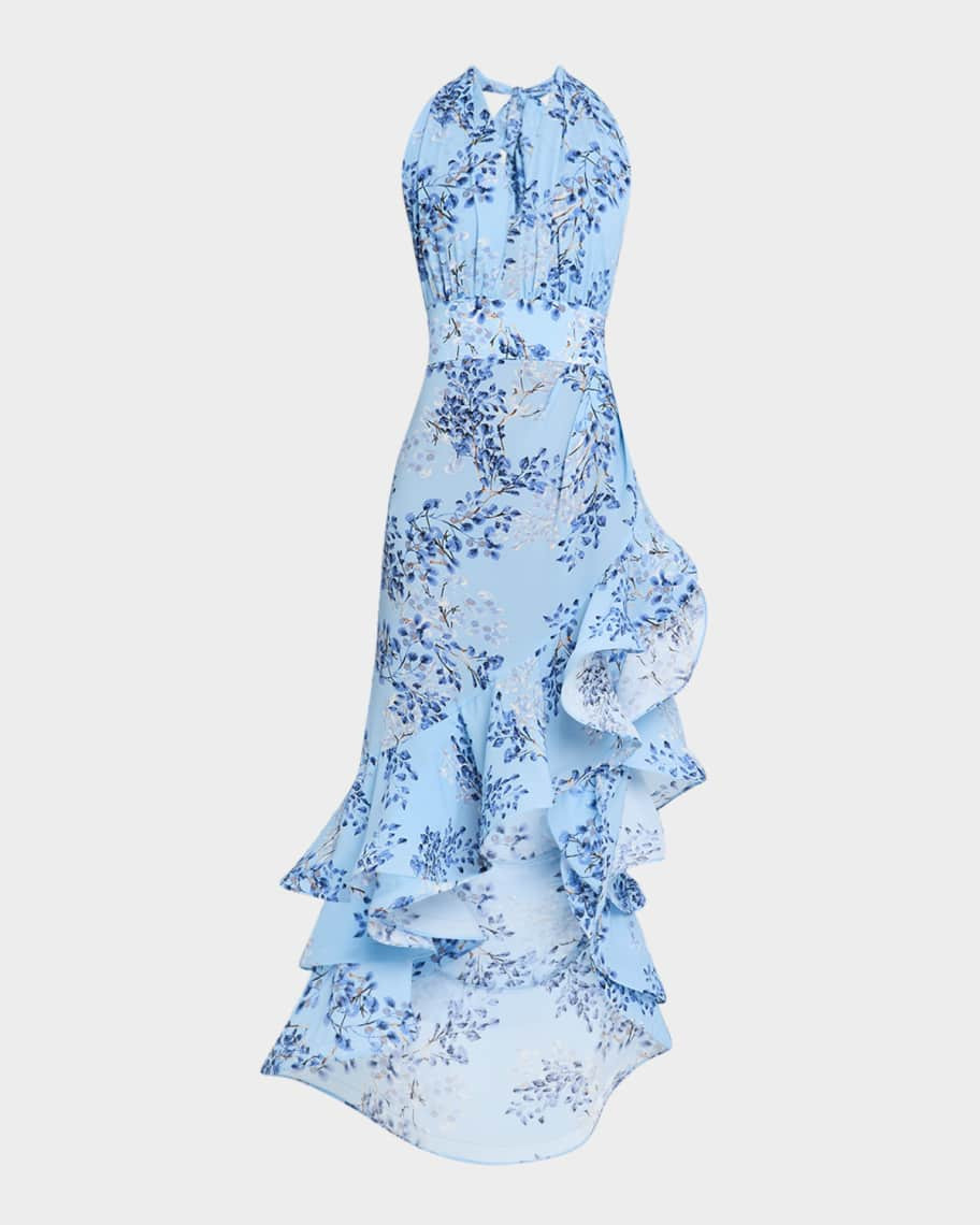 Bronx and Banco Bronte Floral-Print Ruffle Halter Maxi Dress | Neiman Marcus