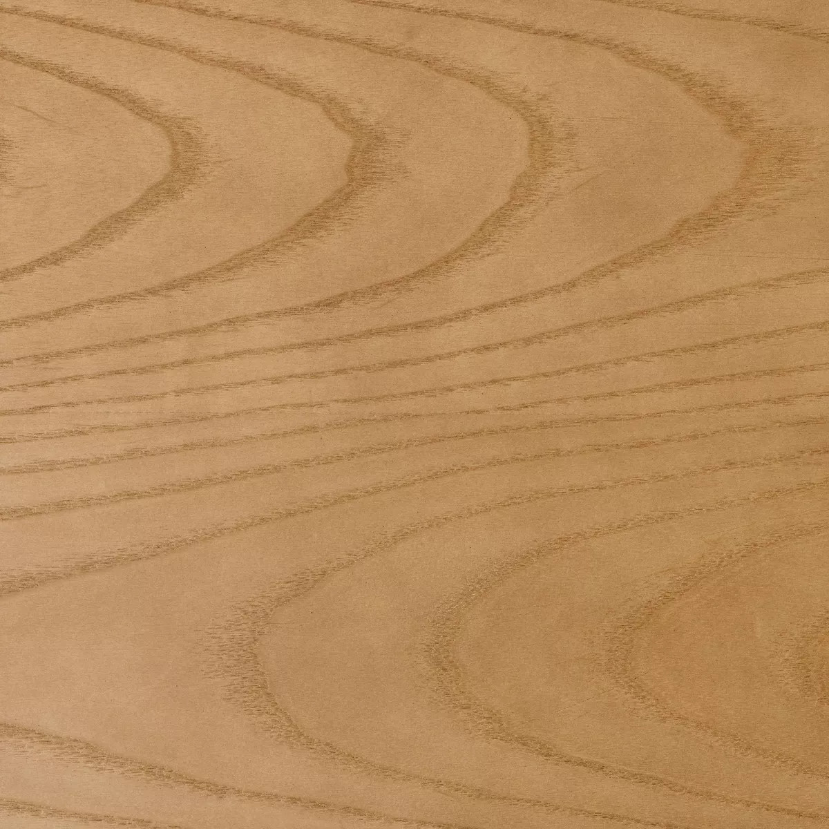 Cardamine Racetrack Dining Table Natural Wood - Threshold™ designed with Studio McGee | Target