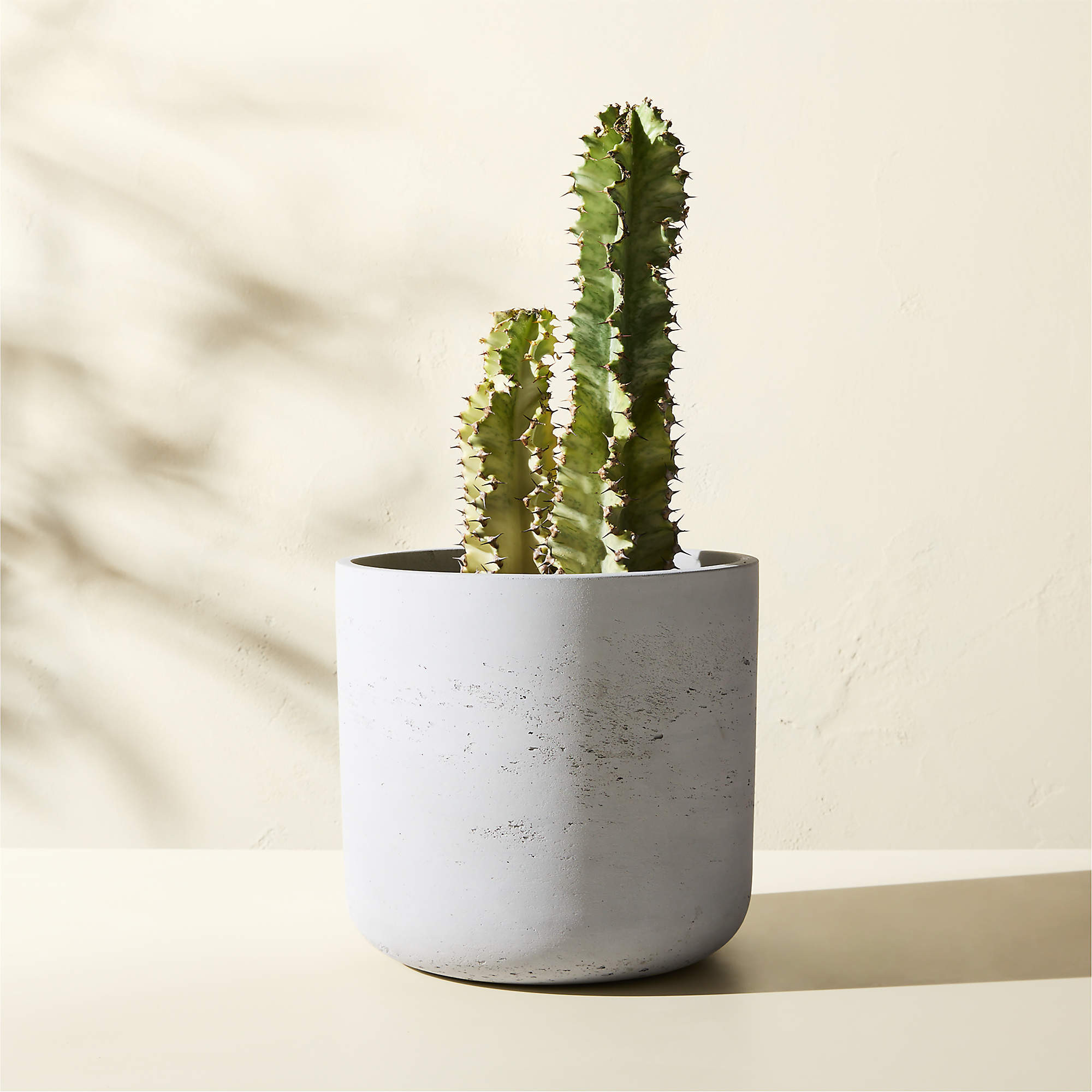 Seminyak Modern Grey Cement Outdoor Planter XS + Reviews | CB2 | CB2