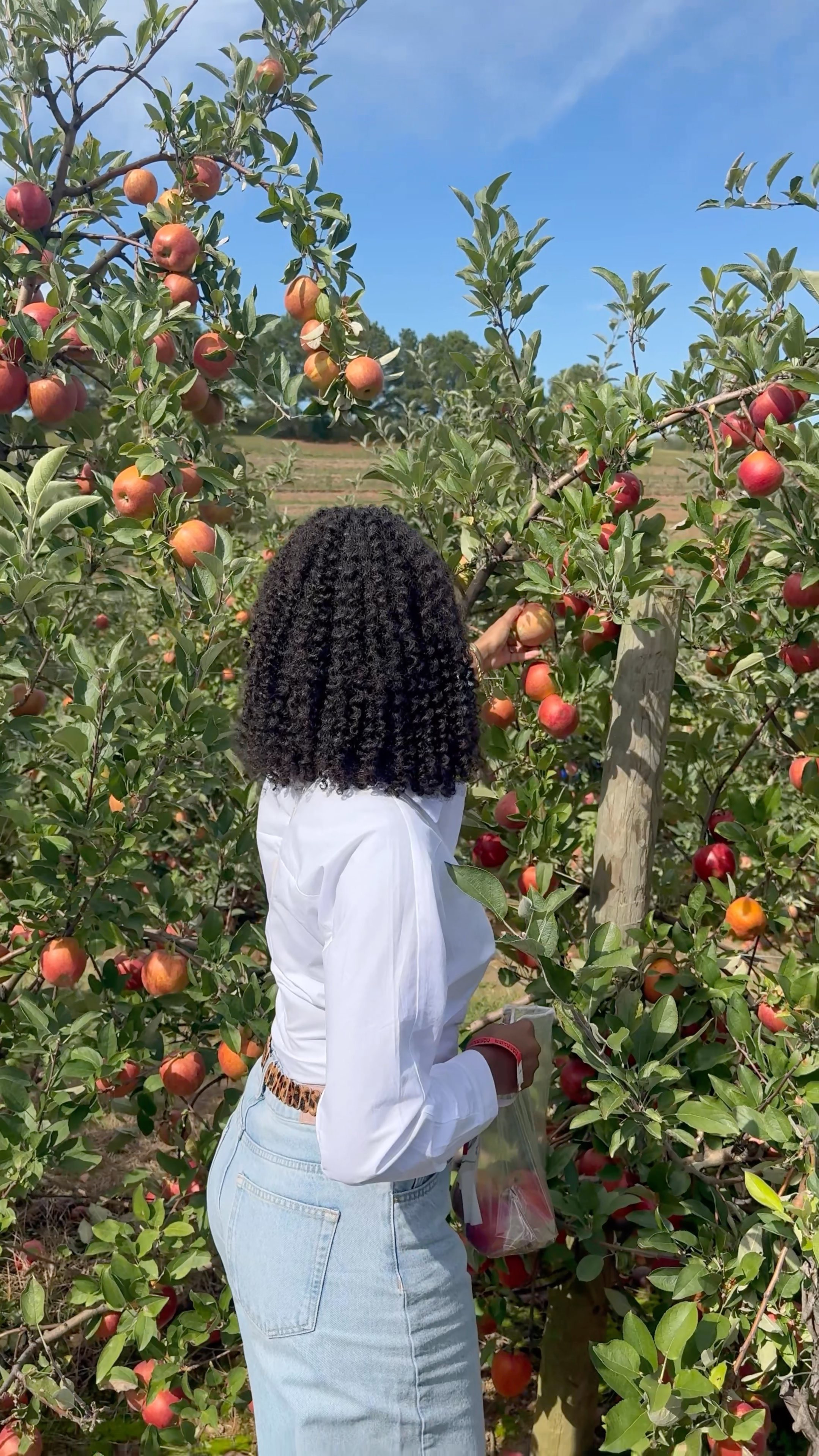 Getting ready to go apple picking 🍎 

 