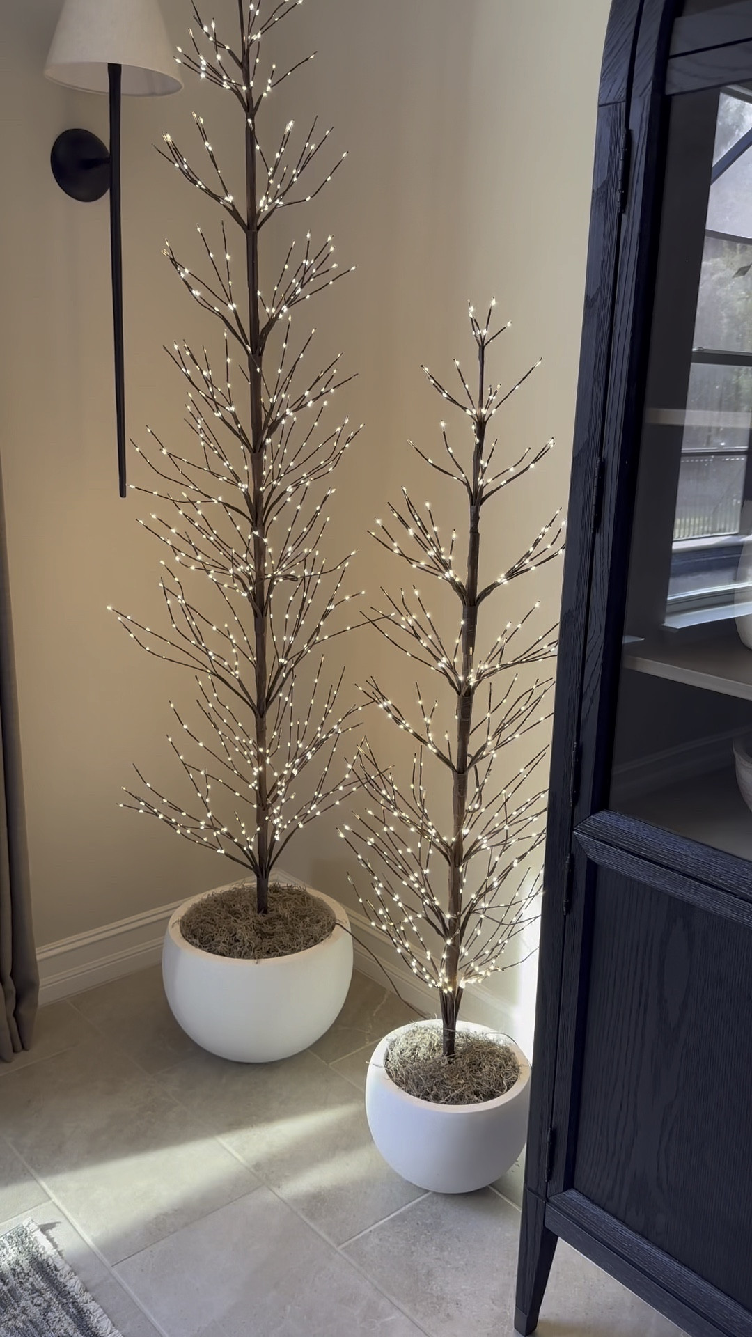 These twinkling twig trees are a holiday decor staple. I even used them for fall and added some crows for Halloween. They are back in stock. They come in three different sizes. You do not want to miss these! 

#LTKVideo #LTKHome #LTKSeasonal