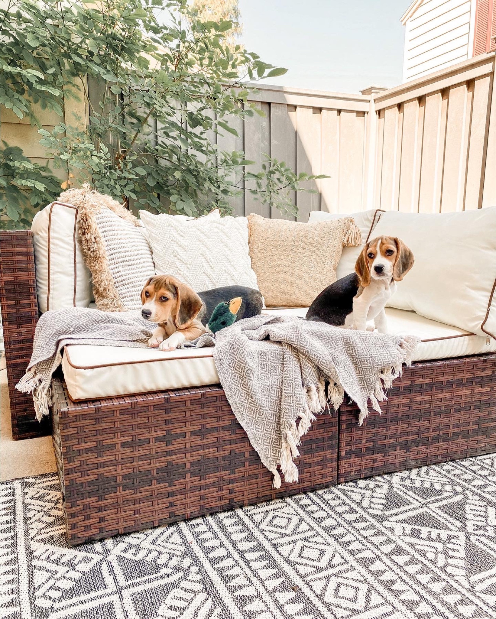 Patio furniture. Patio decor. Patio ideas. Patio sectional. 

#LTKSeasonal #LTKGiftGuide #LTKhome