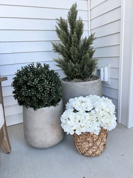 Sharing my outdoor decor again!! 🤩

No care required for the faux plants! Looks nice all season long & can be reused year after year!! 👏🏻

#LTKstyletip #LTKfindsunder100 #LTKhome