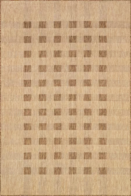 Beige Dortha Checkered Indoor/Outdoor 8' x 10' Area Rug | Rugs USA