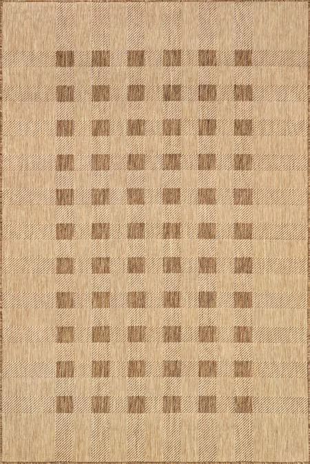 Brown Dortha Checkered Indoor/Outdoor 8' x 10' Area Rug | Rugs USA