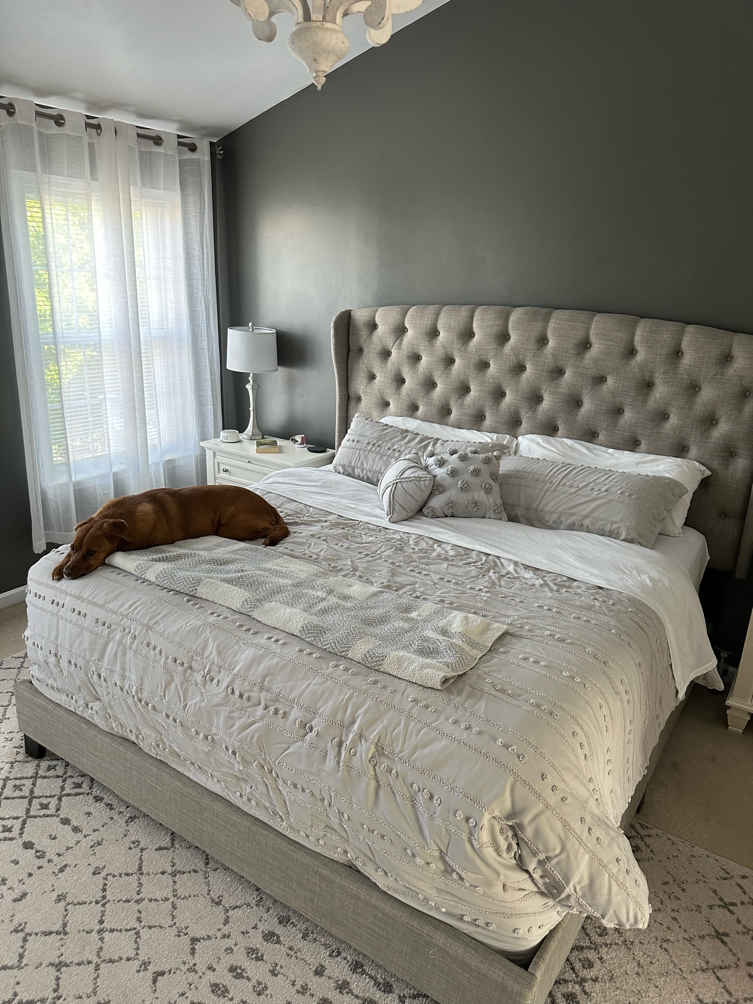 I should’ve taken this out the dryer immediately lol but I love our new bed set! 

#LTKunder100 #LTKfamily #LTKhome