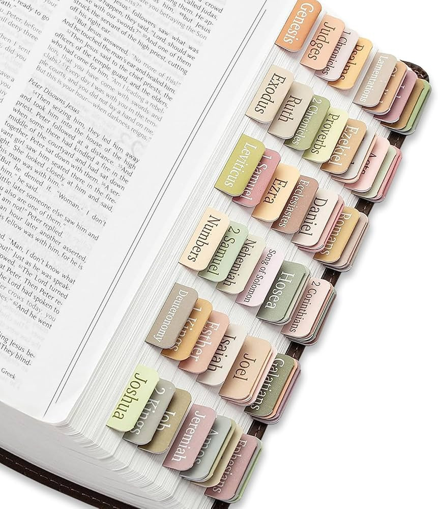 Bible Tabs for Women and Man, Bible Book Tabs, 75 Tabs, Laminated Bible Tabs, Boho/Morandi/Sunset... | Amazon (US)