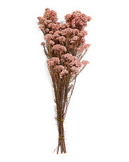 Preserved Rice Flowers | TJ Maxx