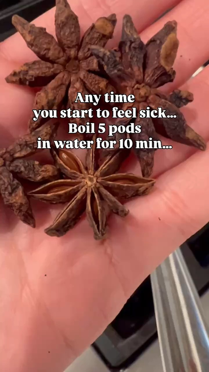 Anytime myself, my husband or one of our kids starts to feel sick, I boil 5 of these pods in water for 10 min!

#LTKSeasonal