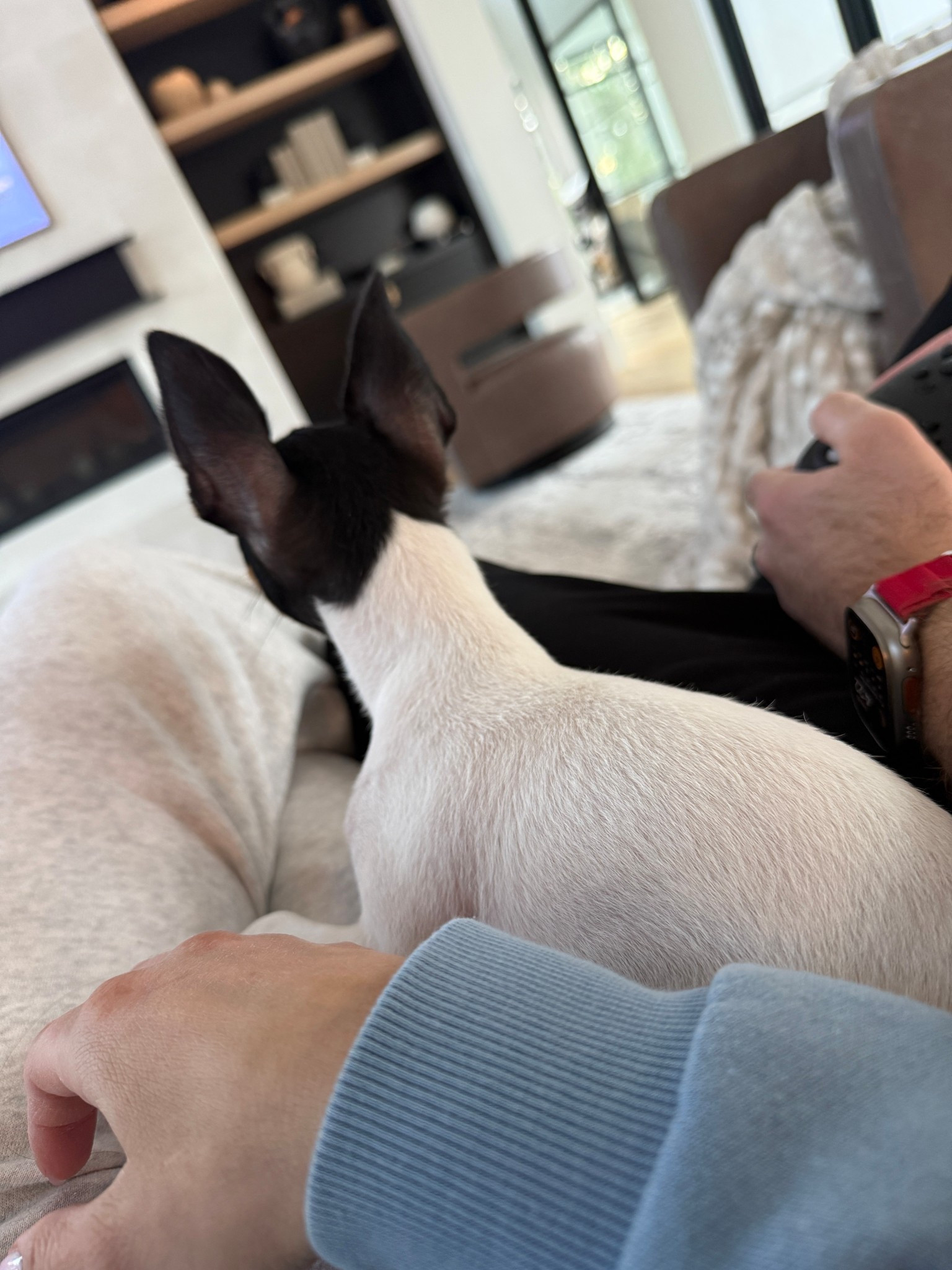 Comfy sweats and cozy blankets. I have these sweats in a few colors. They are the best! Linking a few of my faves.

#LTKHome #LTKmomlife #LTKdayinmylife