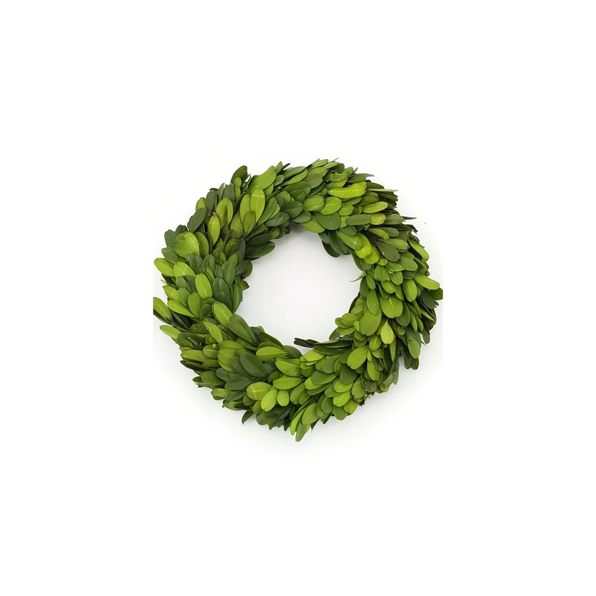 Preserved Candle Greenery Wreath | Wayfair North America
