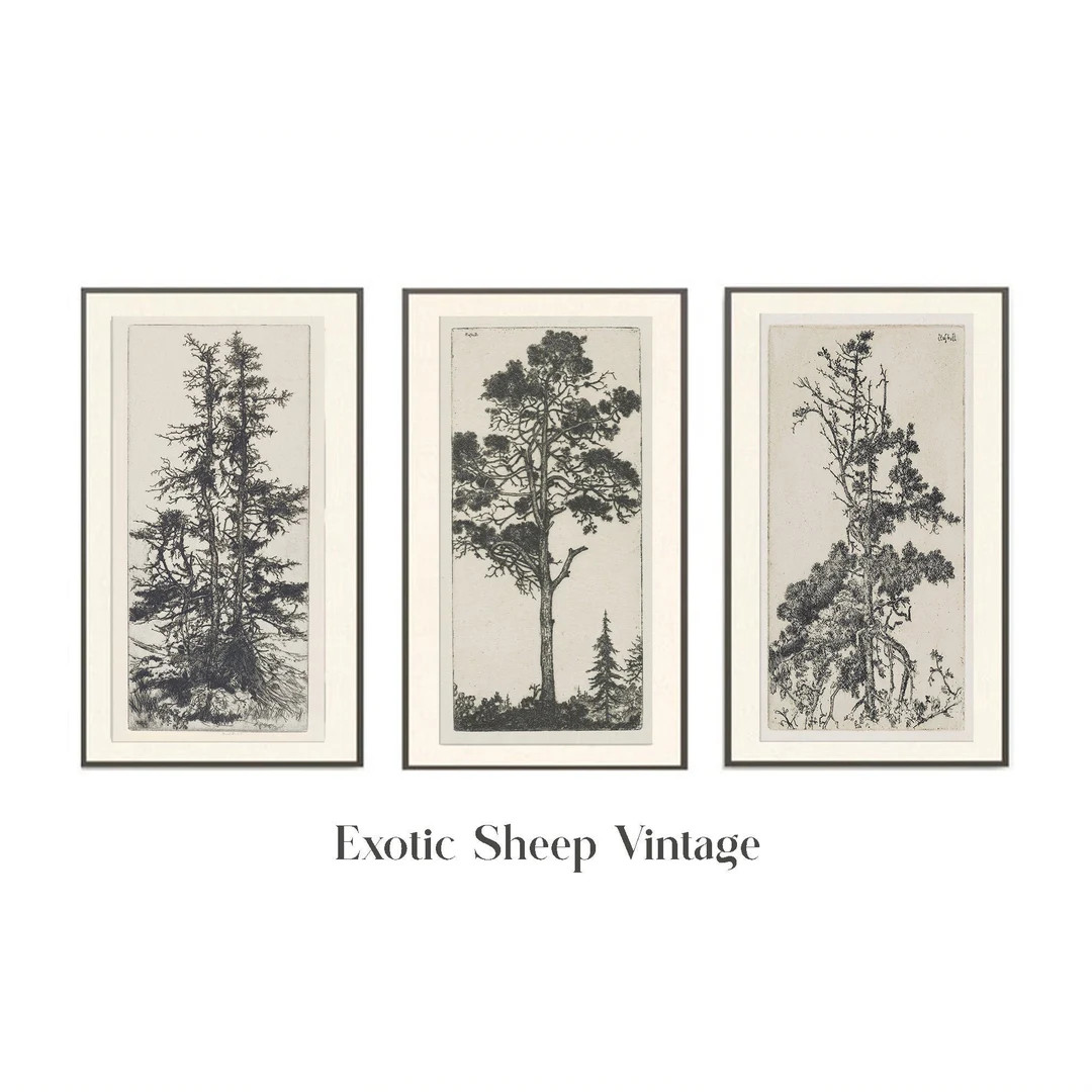 Sketch Art | Tree Drawing | Vintage Drawing | Antique Sketch | Tree Sketch | Gallery Wall Art | B... | Etsy (US)