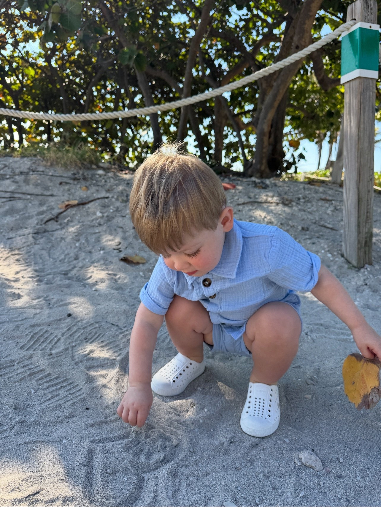 Toddler Blue Matching Set
Toddler Swim 

#LTKBaby #LTKKids