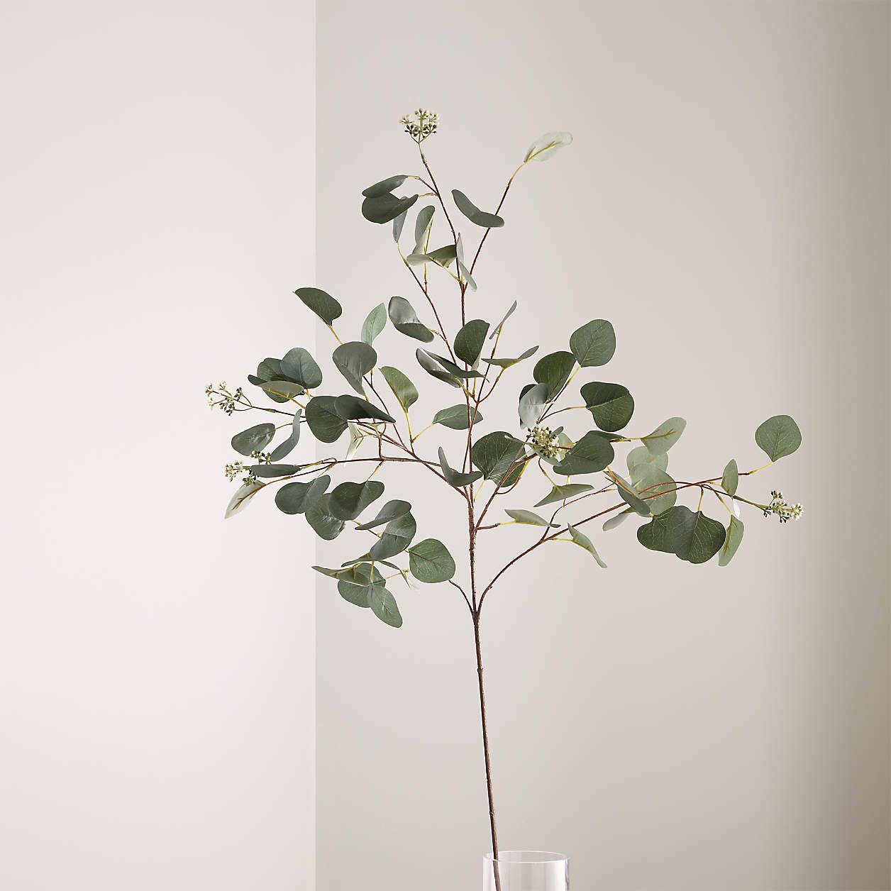 Artificial/Faux Silver Dollar Eucalyptus Stem + Reviews | Crate & Barrel | Crate & Barrel