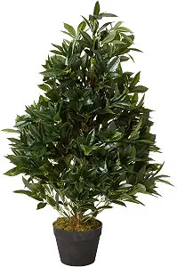 Nearly Natural 3 ft Artificial Bay Leaf Topiary UV-Resistant Porch Decor | Expertly-Trimmed Overl... | Amazon (US)