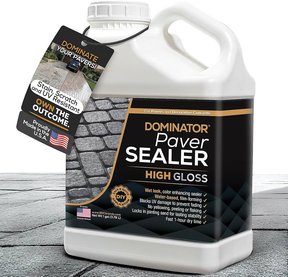 DOMINATOR High Gloss Wet Look Paver Sealer 1 Gallon \u2013 Water Based Paver Sealer for Outdoor D... | Amazon (US)