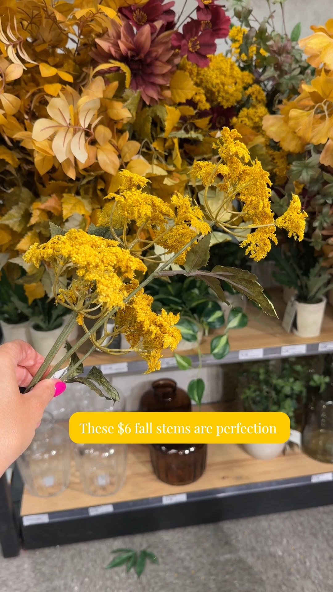 The $6 fall stems you need! Grab 3-5 for almost any vase you’ve got.

#LTKSeasonal #LTKHome