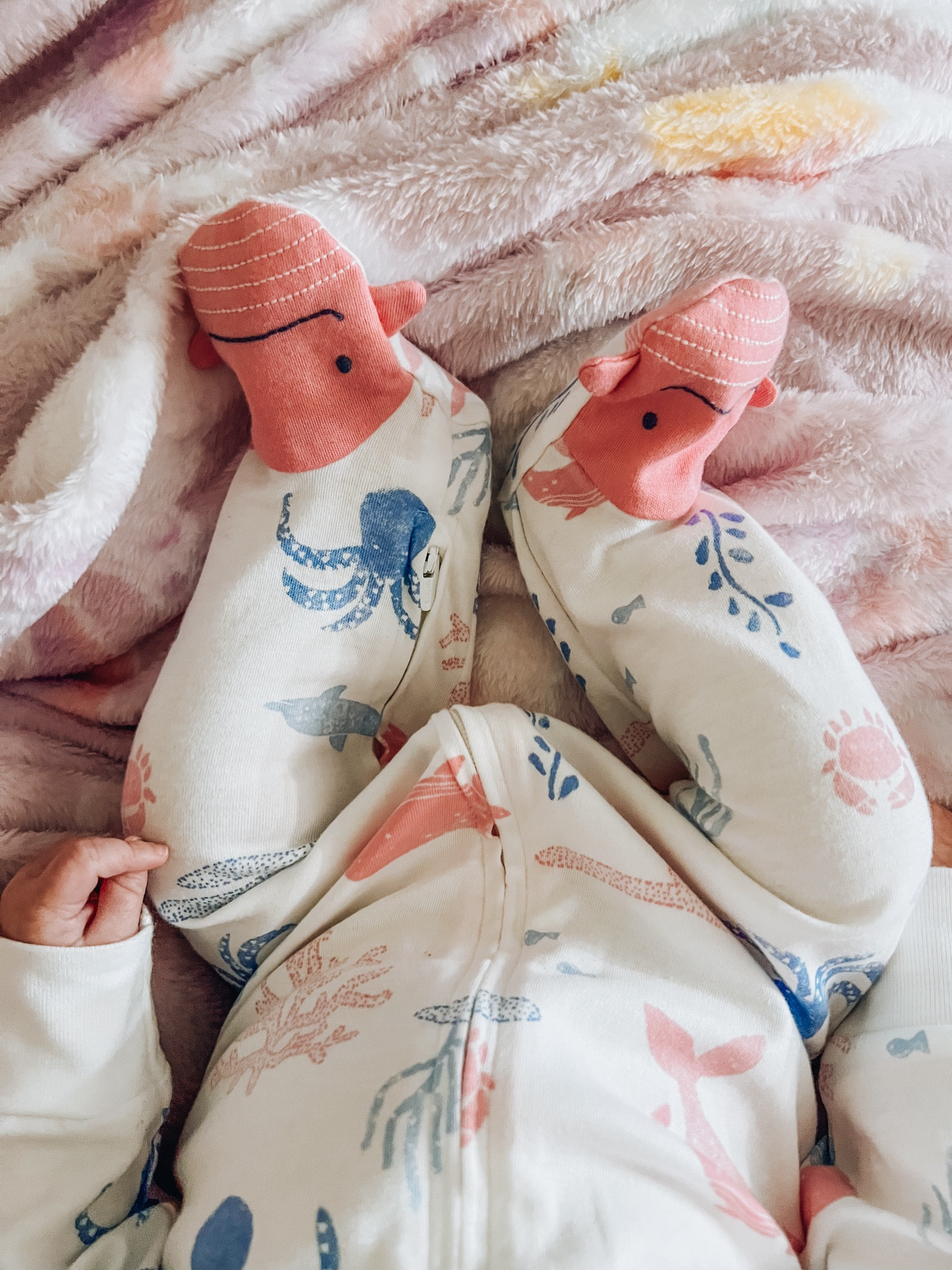 baby pajamas // target baby // beach pajamas // carters // sleeper // baby girl // girl sleep // girl onesie 

#LTKBaby #LTKFamily #LTKBump