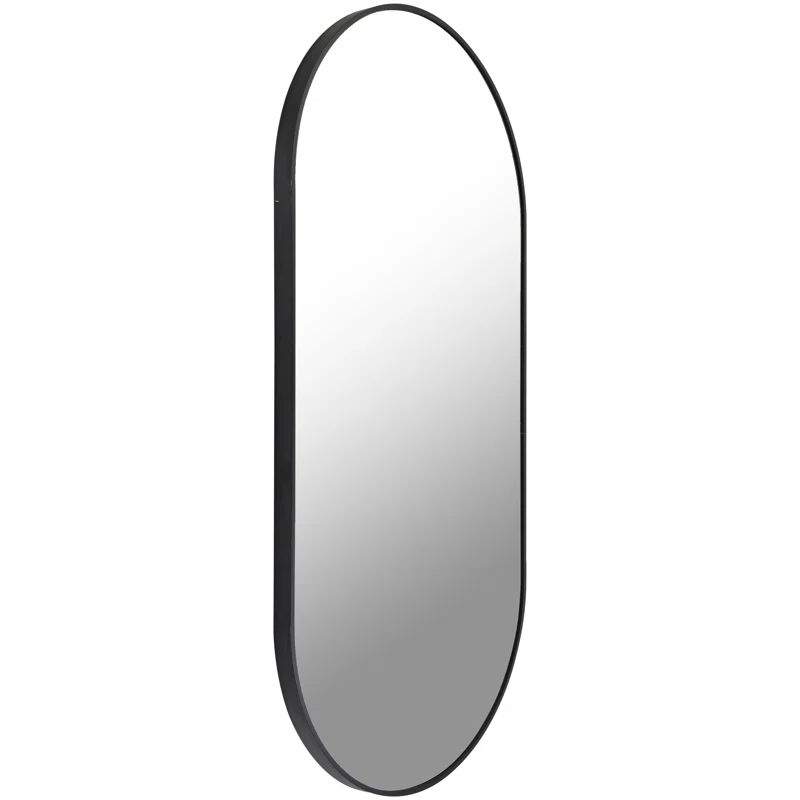 Tamura Oval Pill-Shaped Metal Mirror | Wayfair North America