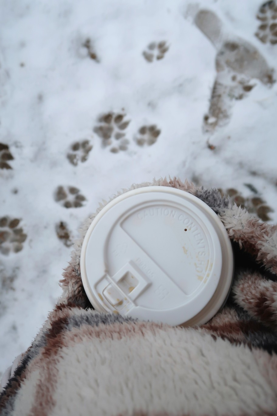 🐾❄️ - I'm ready for shackets, snow, & a hot coffee 😍 Remember get a price drop notification if you heart a post/save a product 😉✨️ P.S. if you follow, like, share, save, or shop my post (either here or @renovatingroblessed).. thank you sooo much, I appreciate you! As always thanks sooo much for being here & shopping with me 🥹| fall outfits women over 50, wedding guest dress summer, fall wedding guest dresses, fall decor, date night outfits, fall dresses, business casual workwear, country concert outfits, concert outfit ideas, work outfits, fall fashion hauls, teacher outfits, halloween decor, autumn outfits, fall shoes, Halloween, halloween 2026, halloween decor, fall, fall decor, fall outfits, fall style, fall decor 2026, fall dresses, fall date, fall 2026, fall amazon, amazon fall, amazon fall fashion, fall boots, fall wedding, fall bags, fall clothes, fall capsule, fall coats, early fall, fall front porch, fall fashion 2026, fall home, fall home decor, fall garland, fall wedding guest, fall wedding guest dress, fall inspo, fall kitchen decor, fall looks, fall living room, fall porch, fall sweaters, fall trends, fall wreath, disneyloveland, halloween porch, halloween decor, amazon halloween, pottery barn halloween, anthropologie halloween, halloween cups, halloween decorations, halloween disney, halloween garland, halloween outdoor decor, target halloween, walmart halloween, wedding guest dress, autumn fashion, autumn fashion trends, fall aesthetic, pumpkin patch, pumpkin, wedding guest | #amandaroblessed #LosAngeles #LTKGiftGuide #LTKFindsUnder50 #LTKFindsUnder100 #LTKCon #LTKNYFW #LTKdayinmylife #LTKgrwm #LTKootd #LTKfitnessgoals #LTKmomlife #LTKmorningroutine #LTKselfcare #LTKstorytime #LTKfoodie #LTKvlog #LTKSeasonal #LTKActive #LTKU #LTKOver40 #LTKHome #LTKSaleAlert #LTKMidsize #LTKPetite #LTKPlusSize #LTKTall #LTKBeauty #LTKWorkwear #LTKTravel #LTKBaby #LTKBump #LTKKids #LTKMens #LTKWedding #LTKSwim #LTKNYFW

