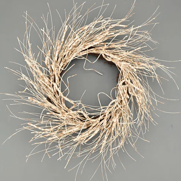 24"Birch Grapevine Wreath Handcraft Design | Wayfair North America