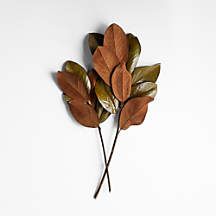 Dried Magnolia Leaf Bunch + Reviews | Crate and Barrel | Crate & Barrel