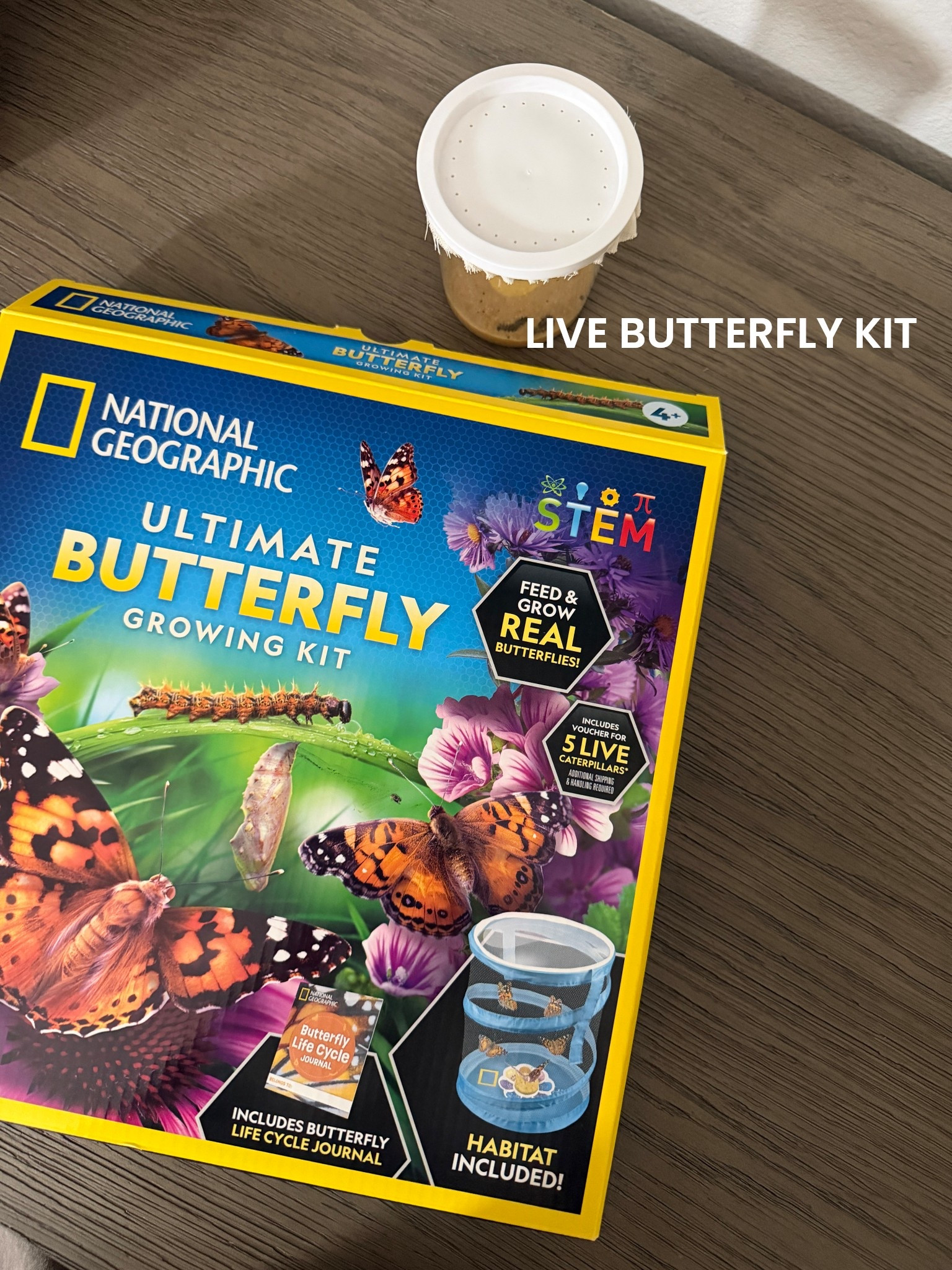 Such a cool gift idea for kids of all ages! 

#LTKmomlife #LTKgrwm #LTKdayinmylife