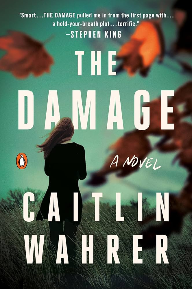 The Damage: A Novel | Amazon (US)