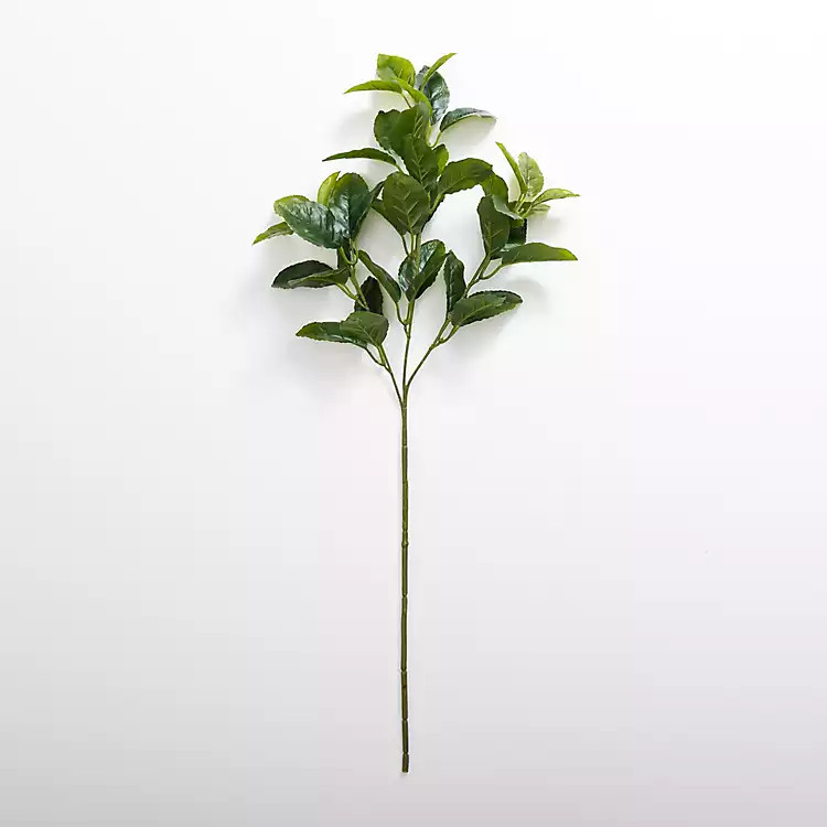 New! Green Lemon Leaf Stem | Kirkland's Home