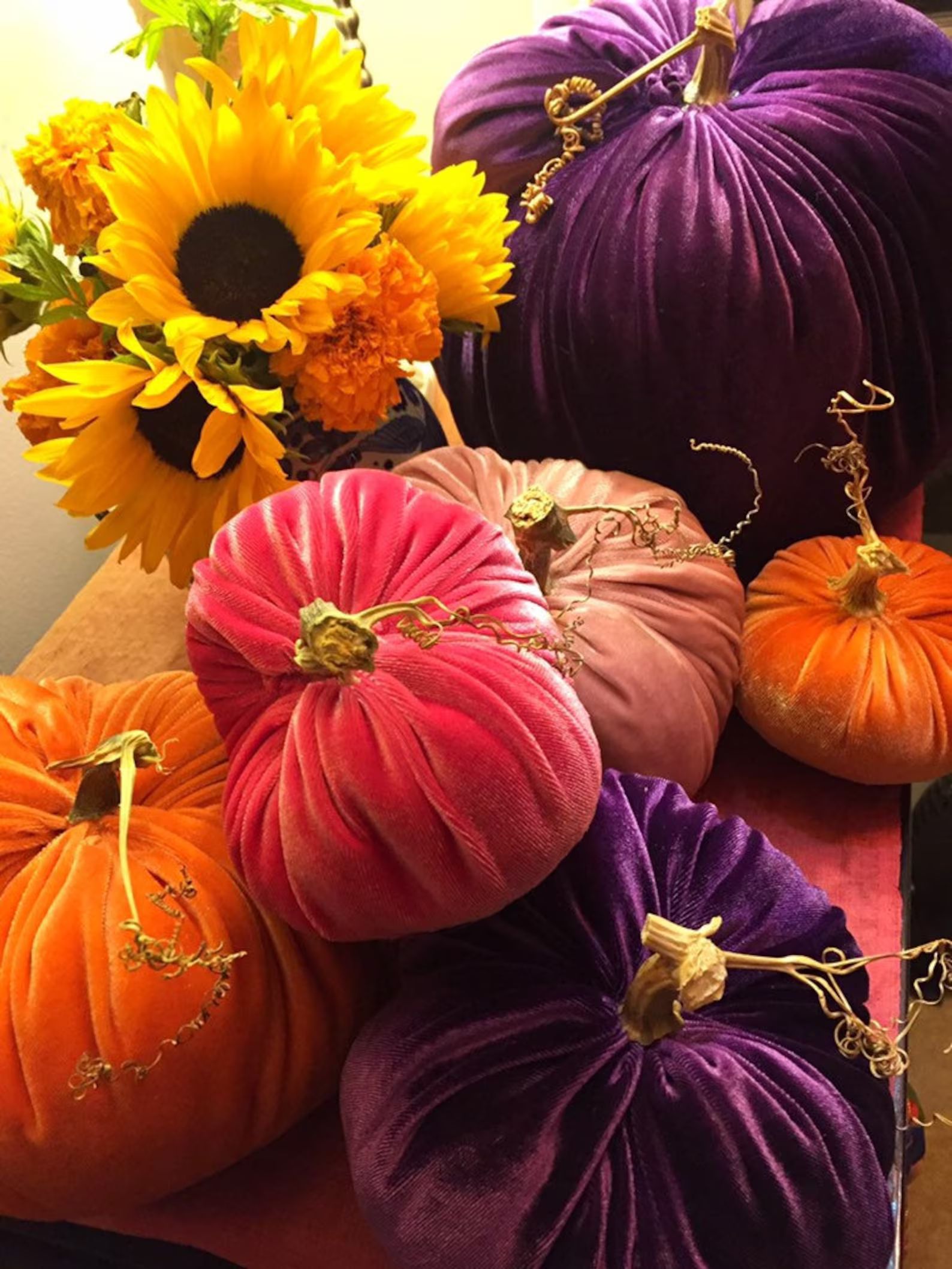 Velvet Pumpkins customizable & various sizes | Etsy | Etsy (US)