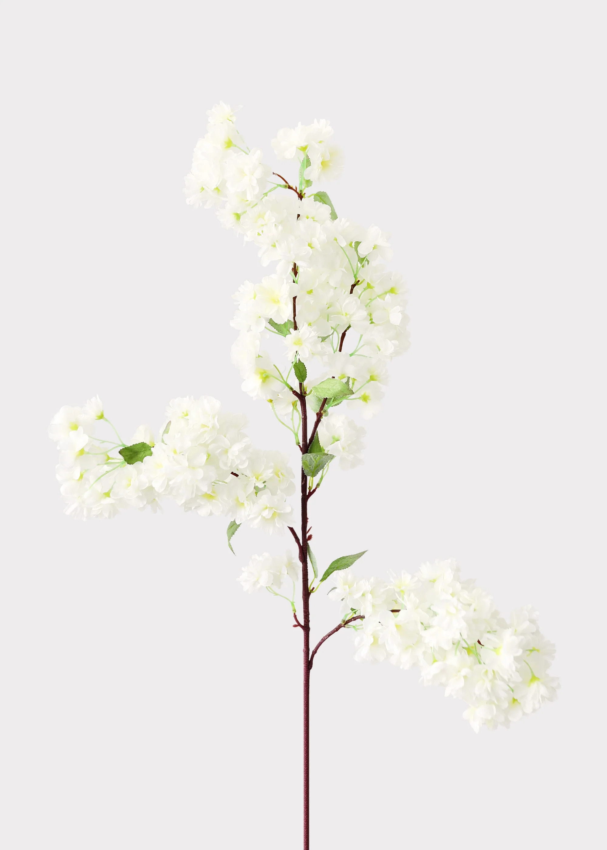 Cream White Cherry Blossom Branch | Fake Spring Flowers | Afloral | Afloral