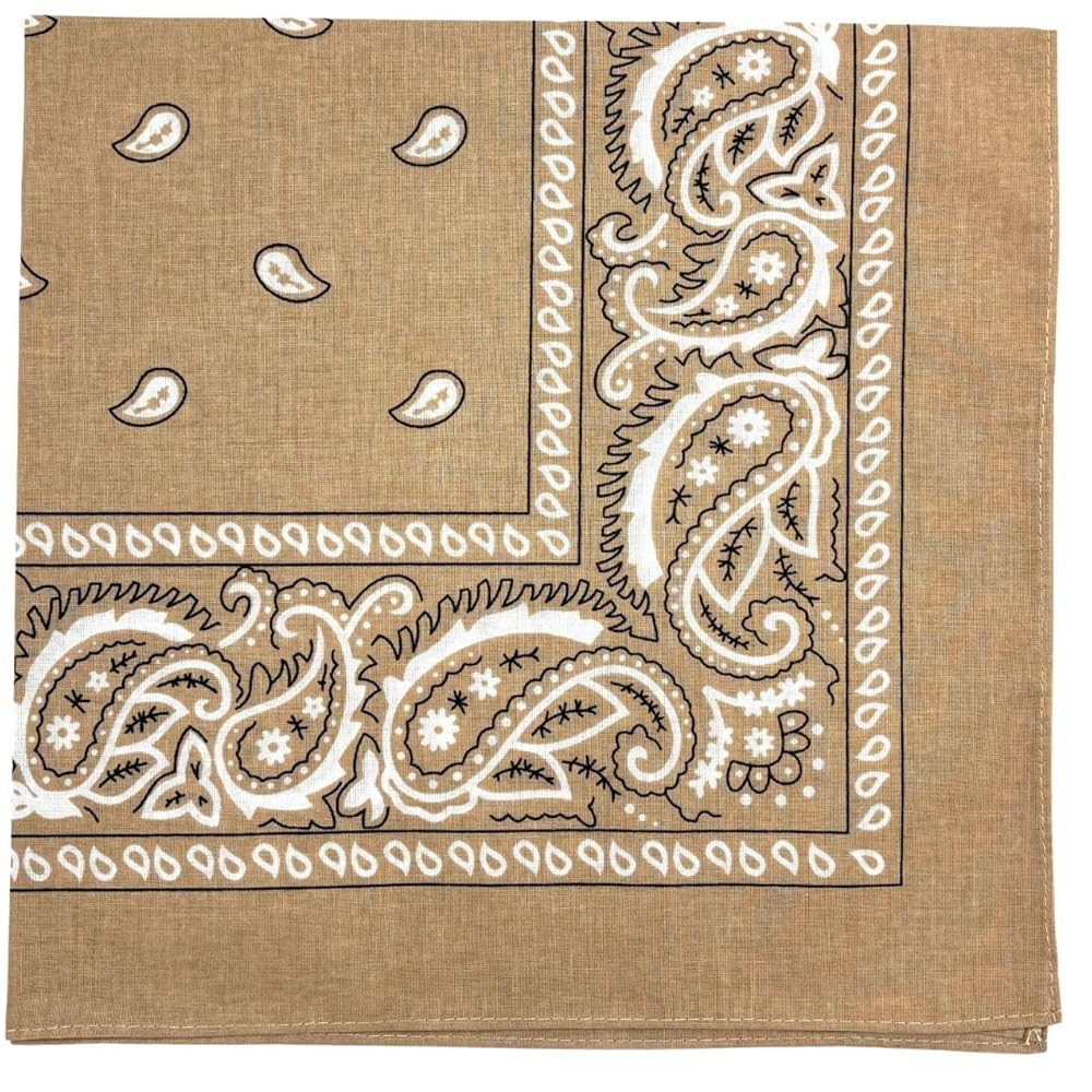 MDSTYLE 100% Cotton Bandana for Men & Women 22" x 22" Paisley Pattern Handkerchief Headband Scarf | Amazon (US)