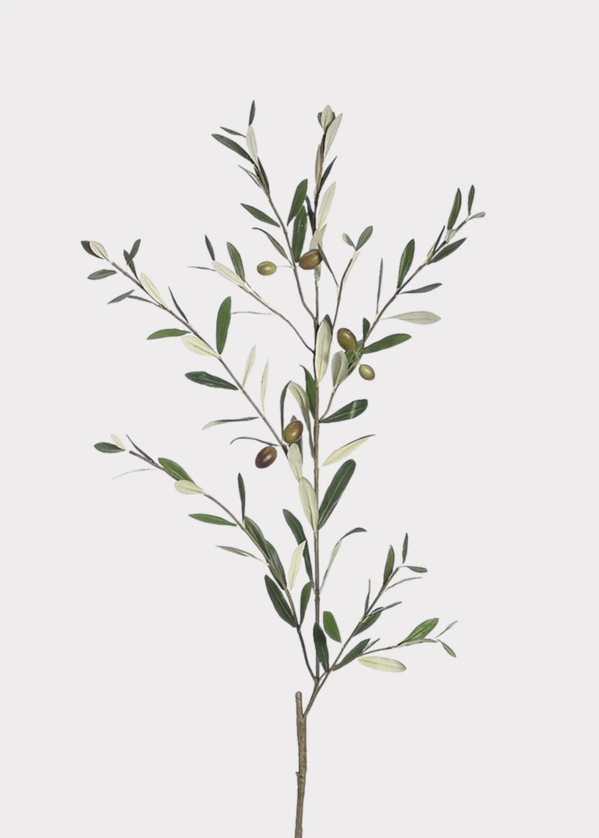 Deluxe Artificial Olive Leaves Branch - 38 | Afloral