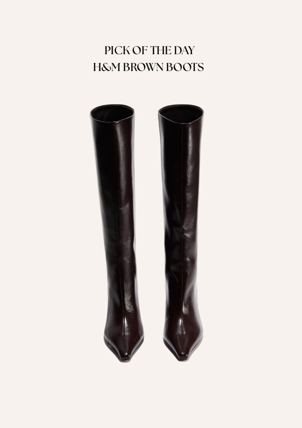 Just ordered these H&M brown heeled boots with the 15% members discount - I lived in the black version of these last year 